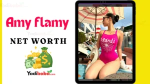 Amy flamy net worth