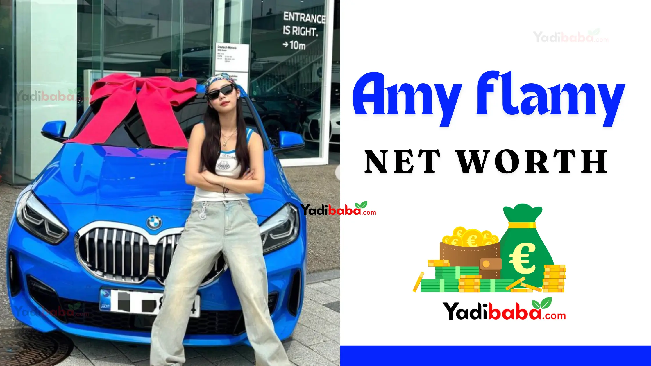 Amy flamy net worth