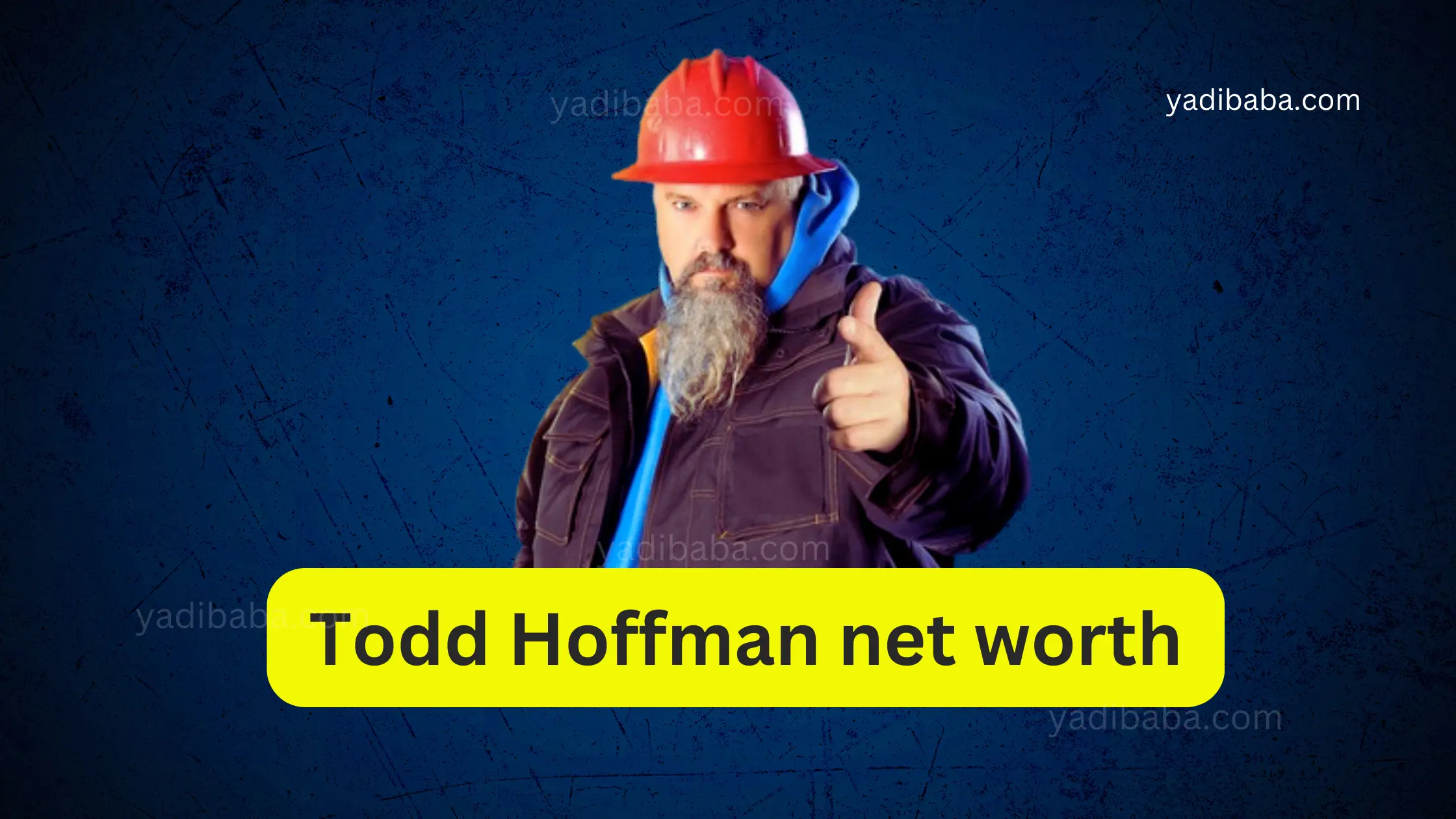 todd hoffman net worth